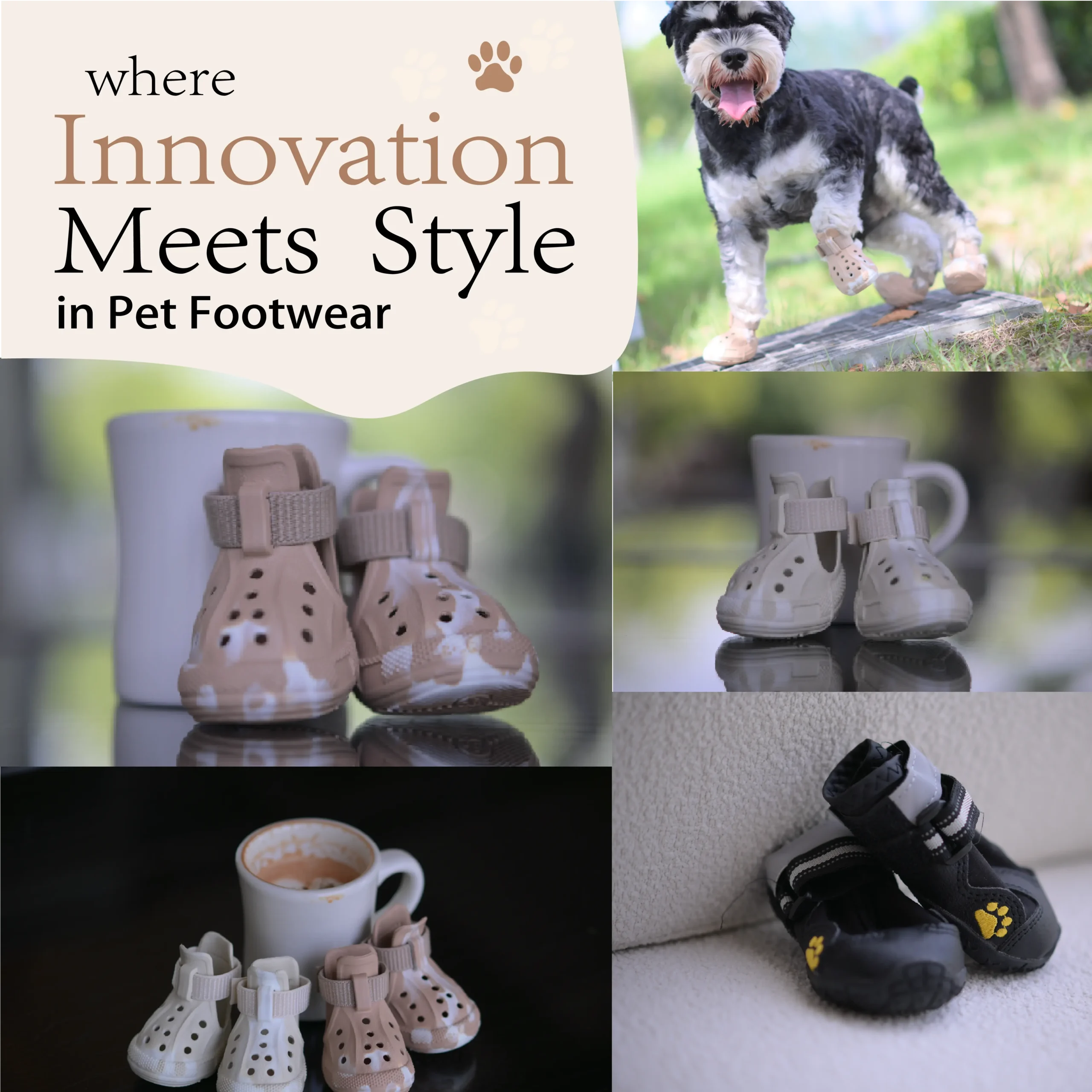 dog boots dog boots