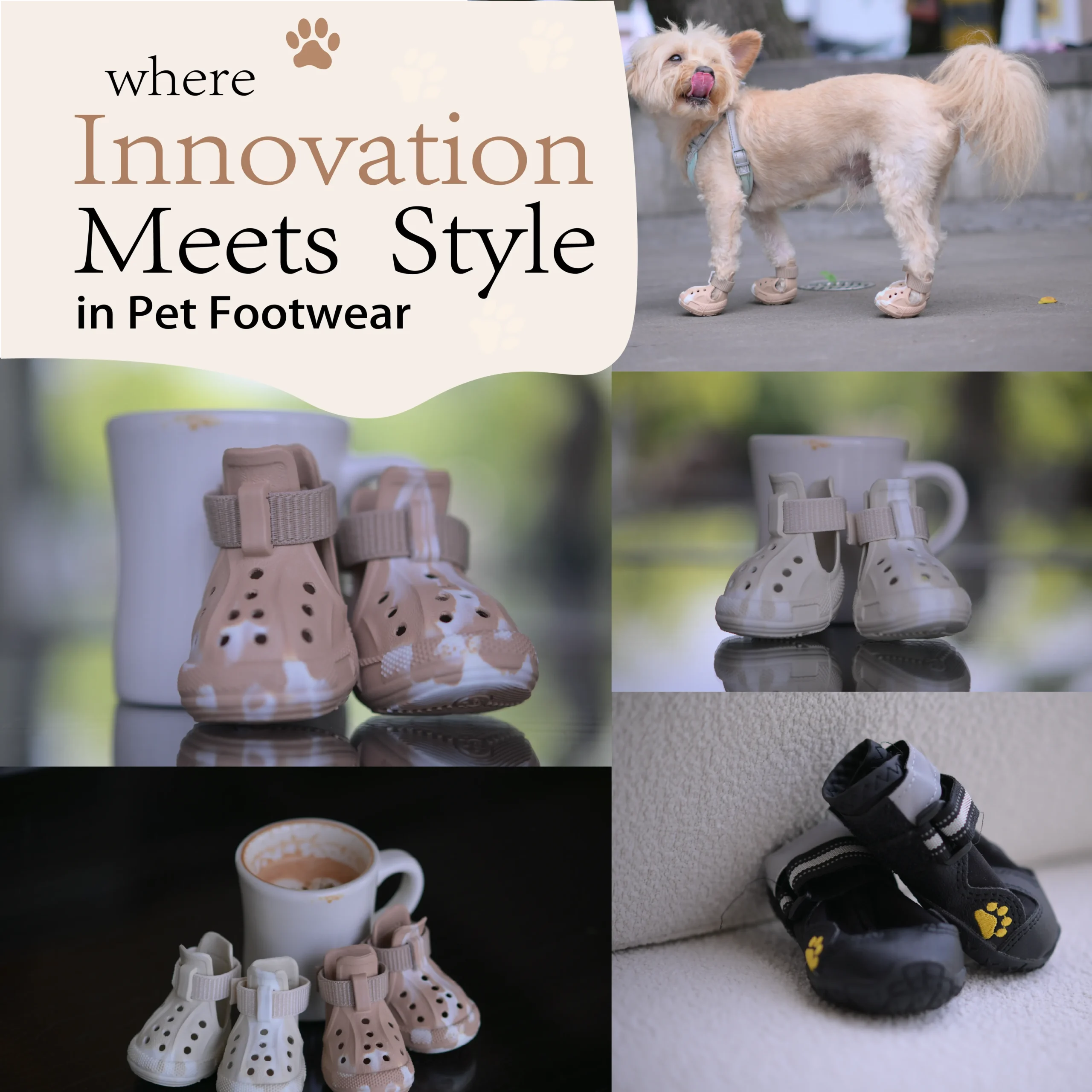 dog boots